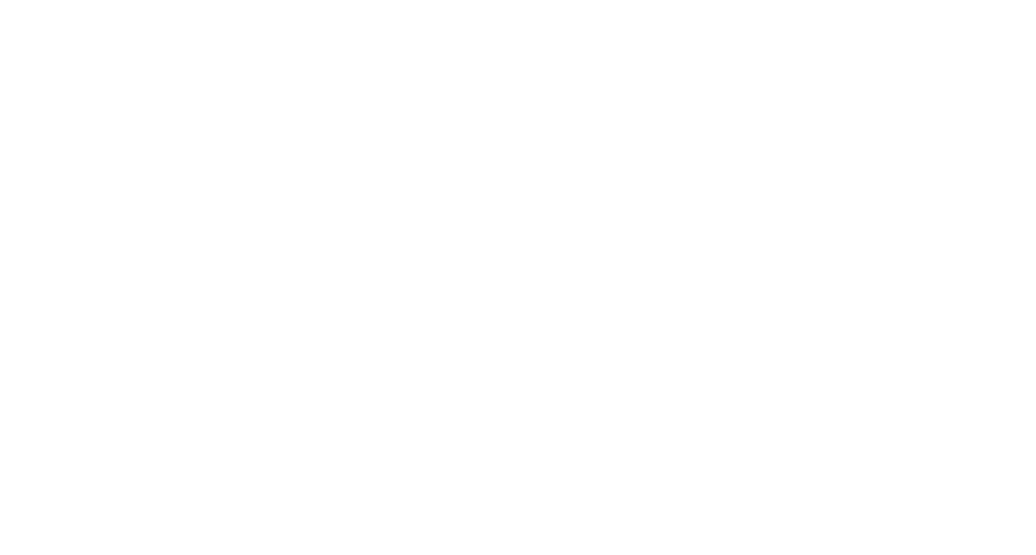 Sustainable Fashion Innovation Society